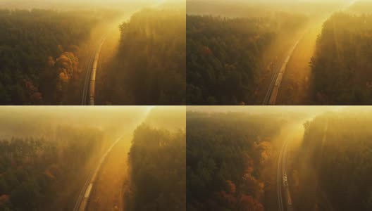 火车在黎明时穿过秋日雾蒙蒙的森林。4 k无人机视图高清在线视频素材下载