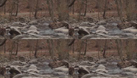 岩石溪，两个旱冰鞋-岩石溪公园-华盛顿特区-秋天高清在线视频素材下载