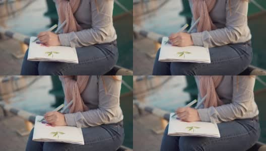 女人的手正在写生簿上画花，近景是在海边高清在线视频素材下载