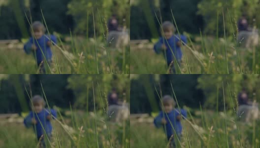 小男孩在大自然中与羊玩耍高清在线视频素材下载