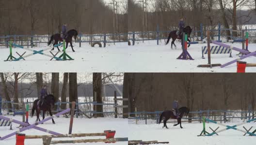 慢镜头:一位女骑师正骑在马上。它表演各种运动动作和跳跃。训练在一个特殊的小围场进行高清在线视频素材下载