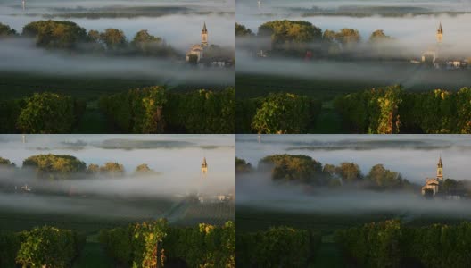 法国西南部葡萄园的雾霾景观，苏特恩，Timelpase高清在线视频素材下载