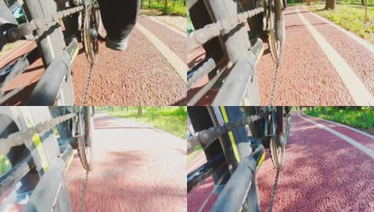 公园里的自行车道高清在线视频素材下载