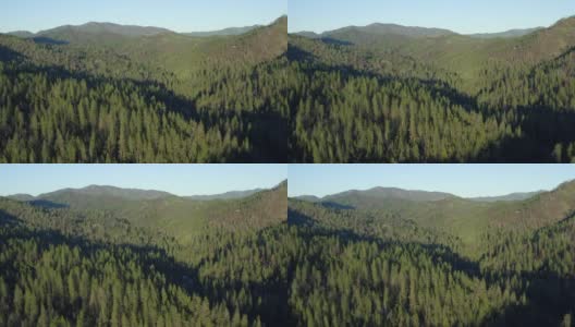 在盐溪的加利福尼亚原始森林无人机鸟瞰图高清在线视频素材下载