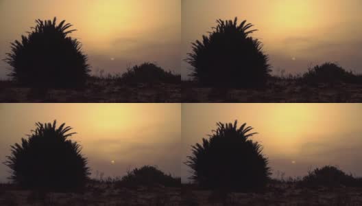 摩洛哥，日出时分的沙漠高清在线视频素材下载