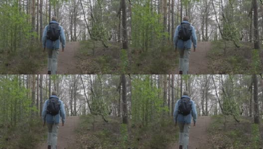 让徒步旅行者走在森林的小上坡路上高清在线视频素材下载