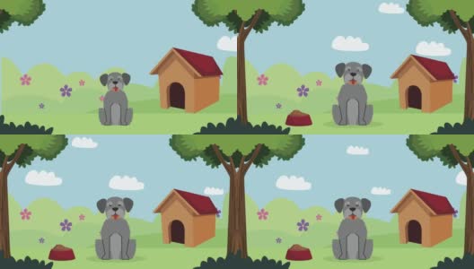 雪纳瑞犬吉祥物与木制房子高清在线视频素材下载