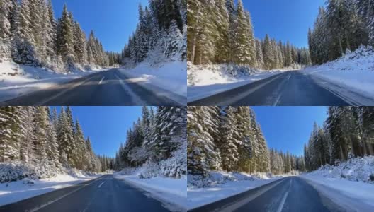 在一个阳光明媚的日子里，在一条空旷的道路上，沿着白雪覆盖的森林行驶高清在线视频素材下载