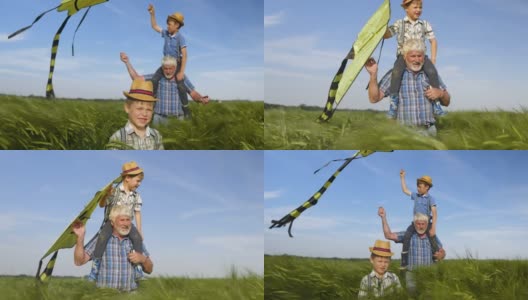 爷爷和孙子们拿着风筝走过田野高清在线视频素材下载