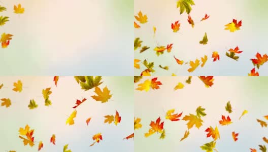 色彩斑斓的秋天高清在线视频素材下载