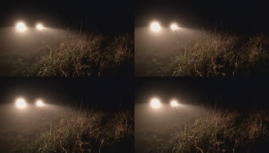 不祥的前灯照亮了雾蒙蒙的黑夜里的草地高清在线视频素材下载