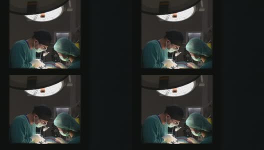 两个兽医手术高清在线视频素材下载