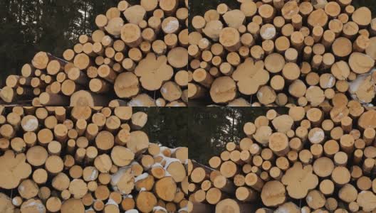 雪上的一堆木头高清在线视频素材下载