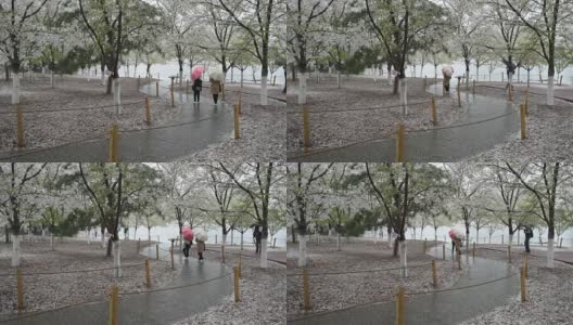 北京的春天迎来了一场雨夹雪，游客们在公园里散步高清在线视频素材下载