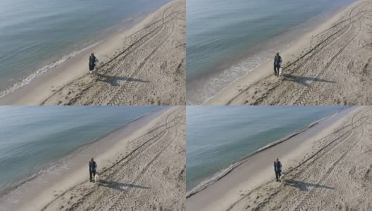 一个年轻的女人和她的狗在海滩上高清在线视频素材下载