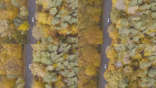 驾车穿越秋天的乡村道路。在美丽的秋天，汽车在乡间小路上行驶。白色的越野车穿过风景优美的黄色秋天森林。俯视图航拍高清在线视频素材下载