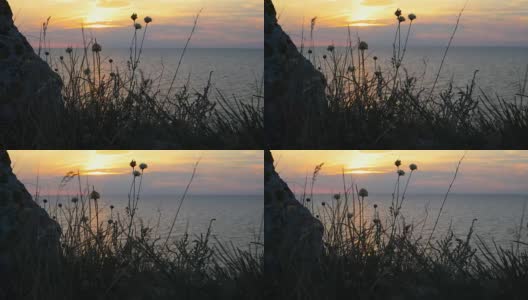 海上田园诗般的日落海风吹动着海面上美丽的日落背景上的草高清在线视频素材下载