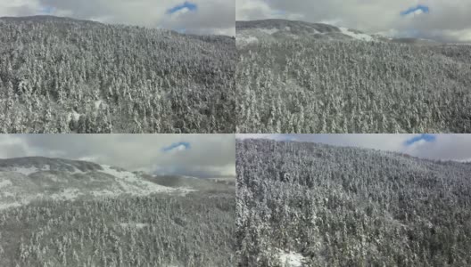 树木被新雪覆盖的全景图像。高清在线视频素材下载