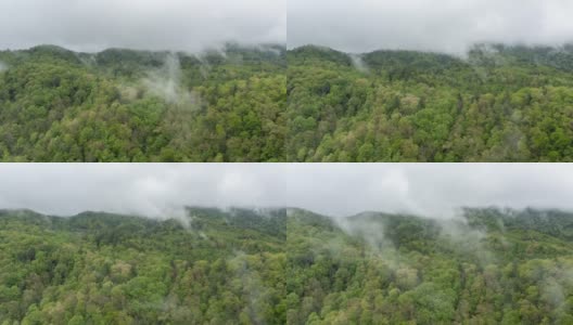 烟雾山附近森林上空雾的空中时间流逝高清在线视频素材下载