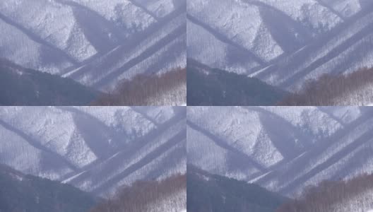 大雪覆盖了落叶茂密的山林高清在线视频素材下载
