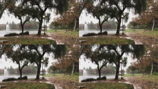 公园里的一个下雨天高清在线视频素材下载