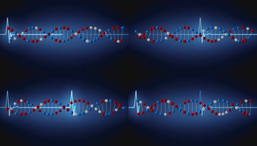 DNA双螺旋结构和心率高清在线视频素材下载