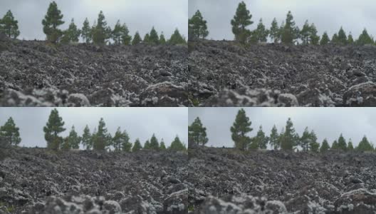 沙漠景观的冷却熔岩覆盖着苔藓和地衣高清在线视频素材下载