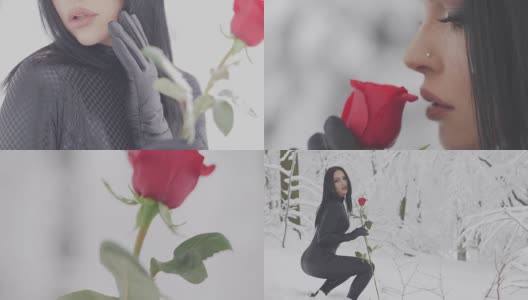 一个女人在雪地里摘红玫瑰花高清在线视频素材下载