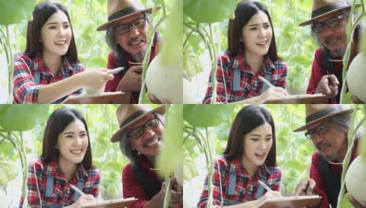 父亲和女儿一起写作和工作的家庭。快乐的亚洲农民微笑着，在他们自己的农田里捧着一个成熟的西瓜高清在线视频素材下载