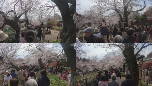 游客和当地人正在东京千鸟渊运河观赏樱花。高清在线视频素材下载