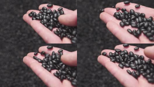 黑豆从手里掉到一堆的特写。高清在线视频素材下载