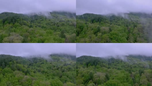 空中拍摄的烟雾山附近的森林上空的雾高清在线视频素材下载