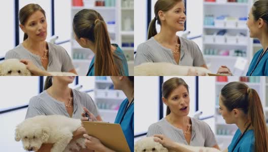 职业妇女与兽医谈论狗的健康高清在线视频素材下载