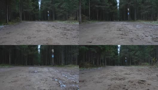 森林道路视频高清在线视频素材下载