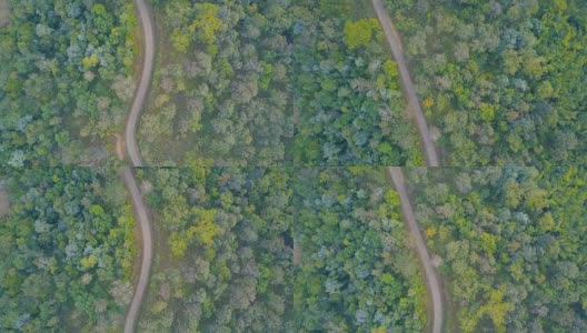 鸟瞰图飞过柏油两车道的森林道路与绿树茂密的树林生长的两边。高清在线视频素材下载