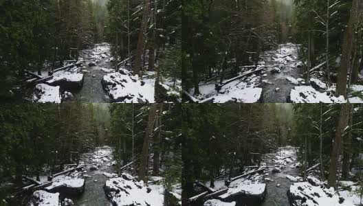 清新的雪，宁静的宁静，放松的概念，美丽的森林河高清在线视频素材下载