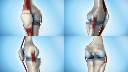人体膝关节解剖旋转高清在线视频素材下载