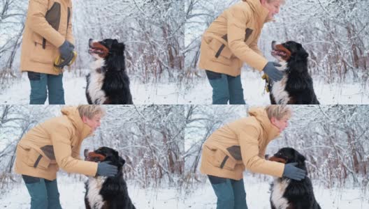 一名女子在积雪的森林里抚摸和拥抱她的伯尔尼山狗——慢镜头。高清在线视频素材下载
