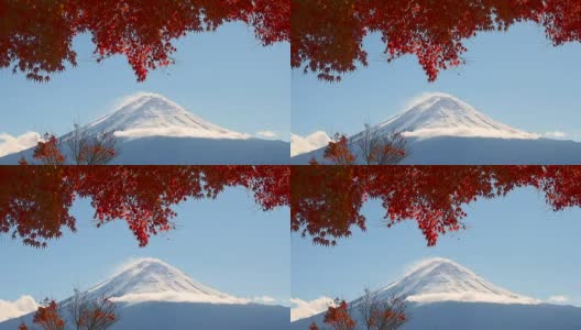 红红的枫叶在富士山和晴朗的天空中移动高清在线视频素材下载