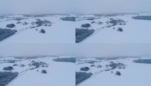 爱沙尼亚雪域森林和农田的鸟瞰图。高清在线视频素材下载