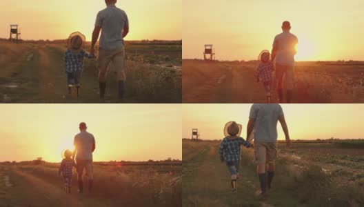 日落时分，父子俩一起在田野里散步高清在线视频素材下载