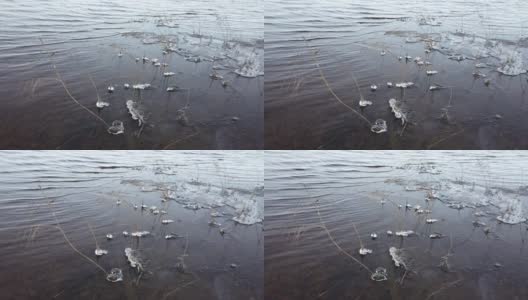 芬兰，当湖面开始结冰时，植物被冰覆盖高清在线视频素材下载