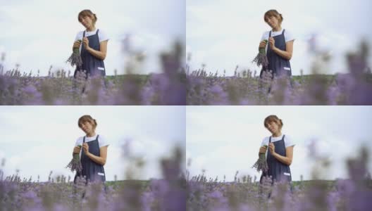 快乐苗条的女人正在做一束薰衣草花，闻着香味，面带微笑。幸福的高加索园丁花匠的肖像站在花田与夏季天空的背景。高清在线视频素材下载