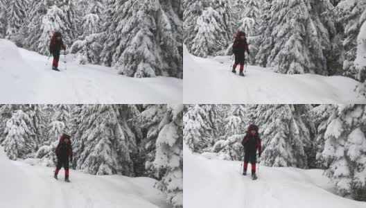 一名背着背包的游客在白雪皑皑的森林里走着。前视图。高清在线视频素材下载