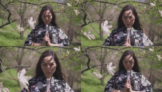 年轻自信的亚洲美女正面肖像，手握扇子看着相机。美丽的日本女士在春天的公园里与盛开的树木合影。缓慢的运动。高清在线视频素材下载