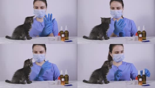 身穿蓝色制服的兽医戴上手套，为小猫服药。高清在线视频素材下载