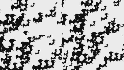 万圣节蝙蝠-万圣节概念-循环-数以百计的蝙蝠向上-万圣节-杰克O灯笼-万圣节飞行蝙蝠无尽的循环-蝙蝠循环-白色背景-黑色颜色- А蝙蝠群高清在线视频素材下载