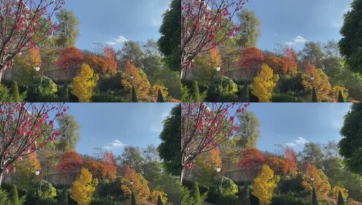 秋天公园里五颜六色的树木，树叶映衬着蓝色的狡黠。秋天美丽的颜色红、黄、金、橙、紫、绿的叶子。秋天田园诗般的自然景观。高清在线视频素材下载