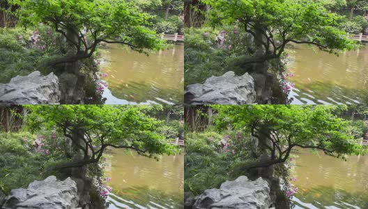 豫园滑块拍摄高清在线视频素材下载