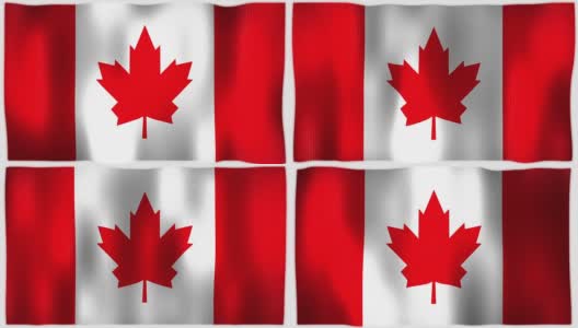 3D动画的加拿大加拿大整个旗帜画布纹理高清在线视频素材下载